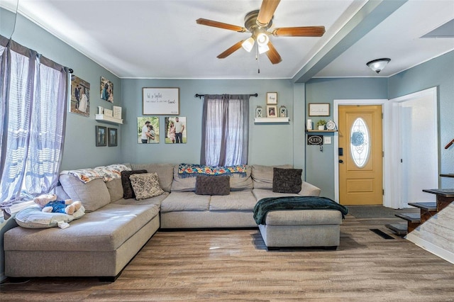 living room with ceiling fan and hardwood / wood-style floors