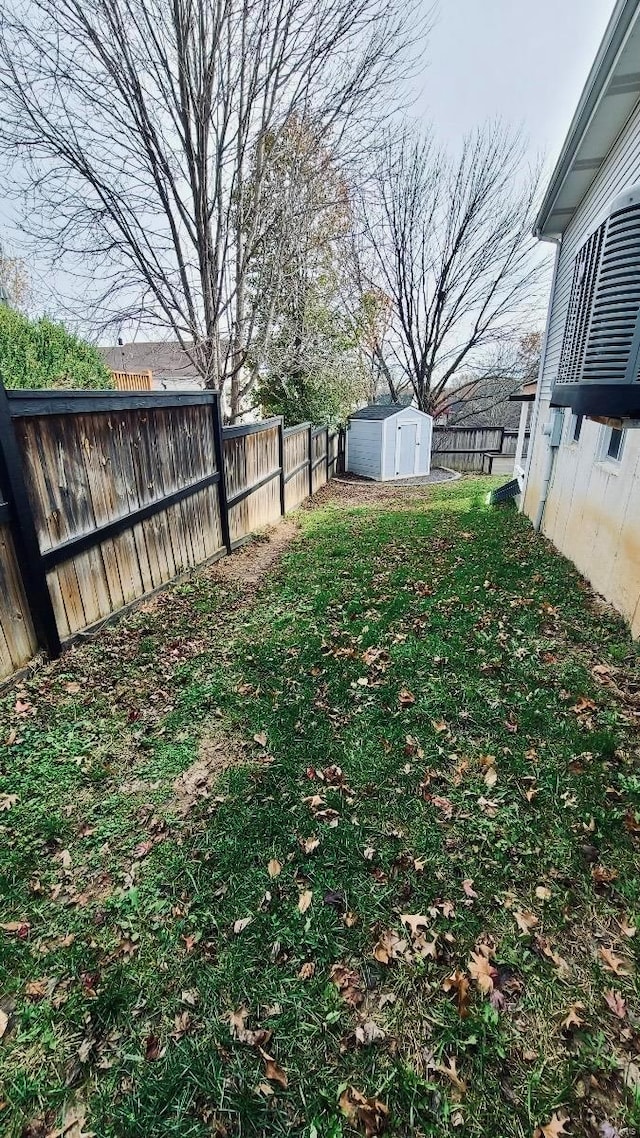 view of yard featuring a storage unit