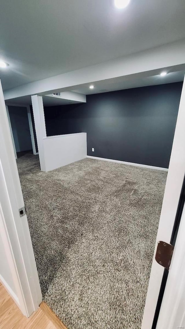 basement featuring carpet