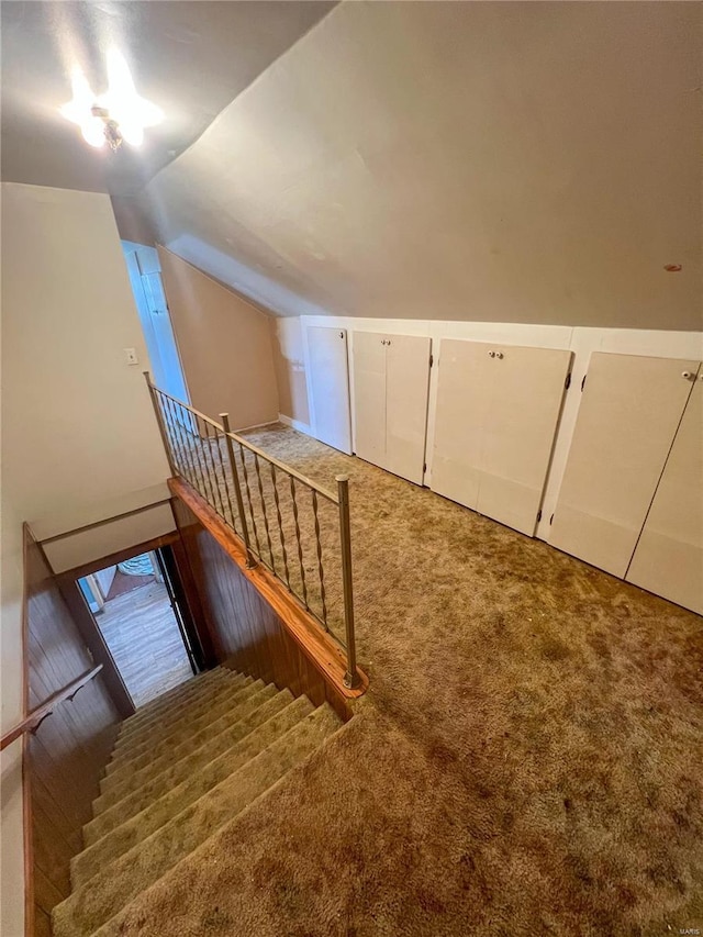 additional living space with carpet flooring and vaulted ceiling