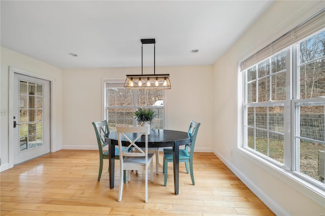 dining area with light hardwood / wood-style flooring and plenty of natural light