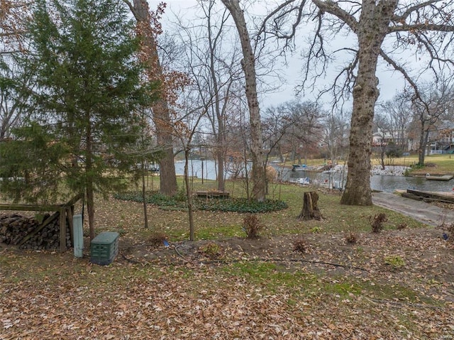 view of yard with a water view