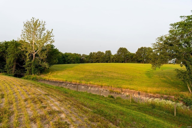 view of nature with a rural view