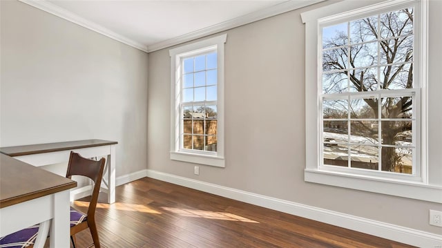 office with plenty of natural light, dark hardwood / wood-style flooring, and crown molding