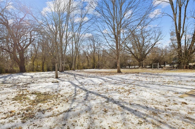 view of yard covered in snow