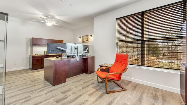 office featuring ceiling fan, light hardwood / wood-style flooring, and plenty of natural light