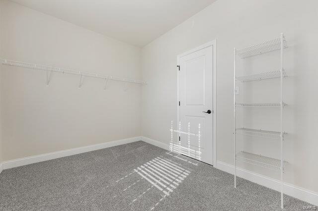 walk in closet with carpet