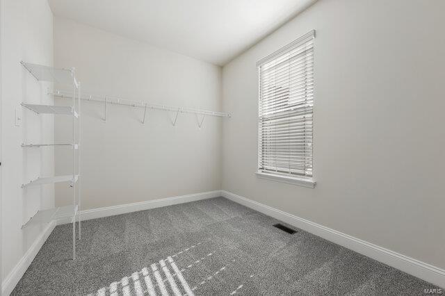 walk in closet with carpet