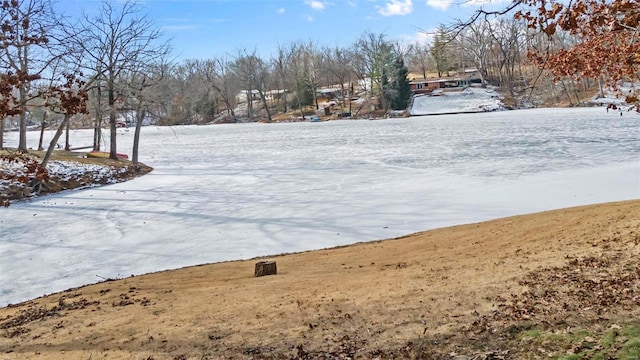 view of yard layered in snow