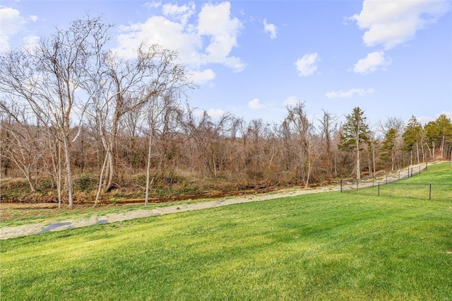 view of yard with a rural view