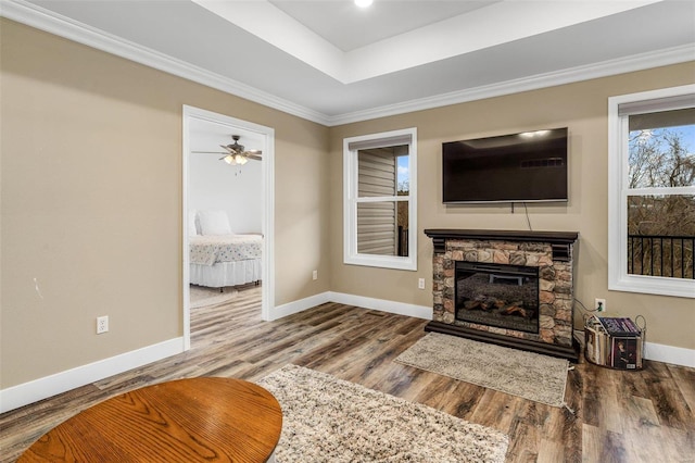 living room with crown molding, wood-type flooring, a tray ceiling, and a stone fireplace