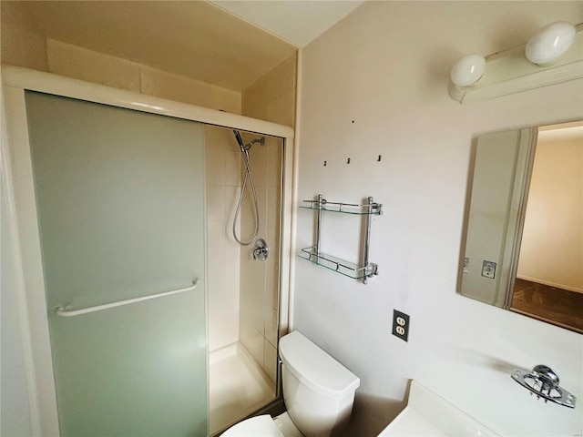 full bathroom featuring a sink, a shower stall, and toilet