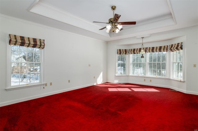 carpeted empty room featuring ornamental molding, ceiling fan, and a raised ceiling