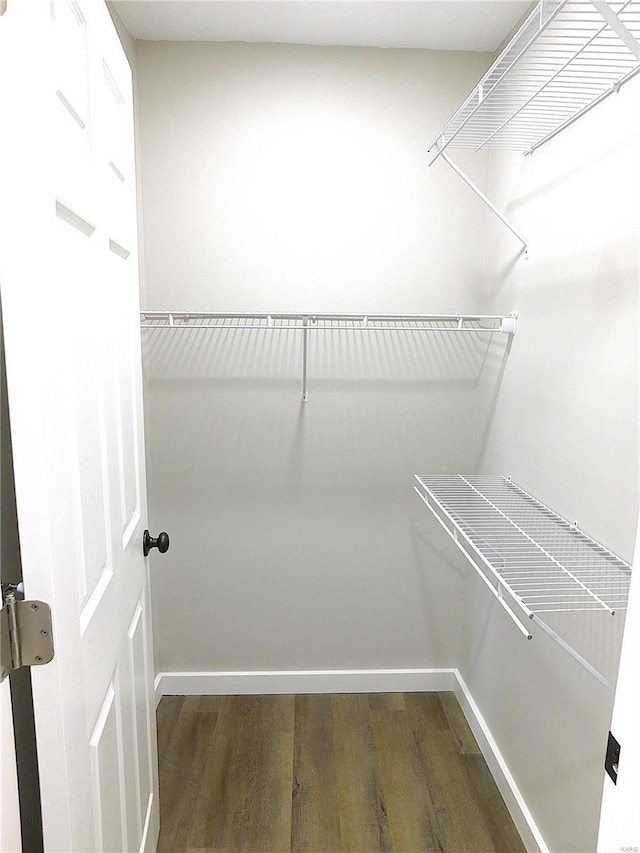 walk in closet featuring wood finished floors