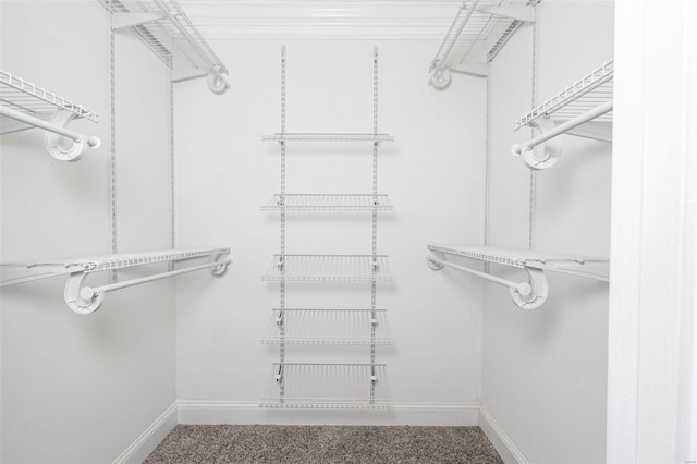 view of walk in closet