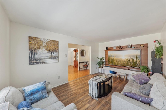 living room featuring hardwood / wood-style floors