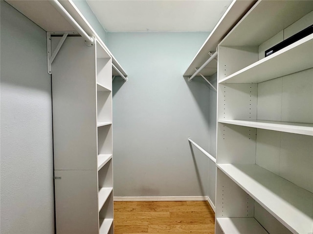 walk in closet featuring light hardwood / wood-style floors