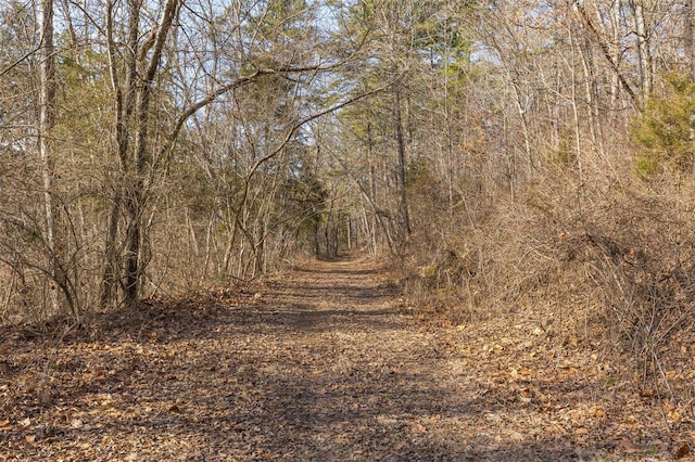 view of local wilderness