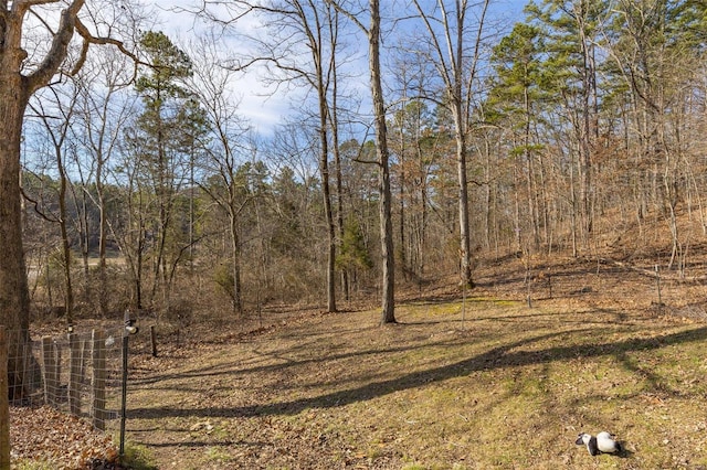 view of local wilderness