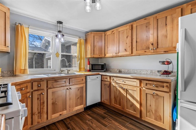 kitchen with dark hardwood / wood-style floors, pendant lighting, refrigerator, sink, and white dishwasher