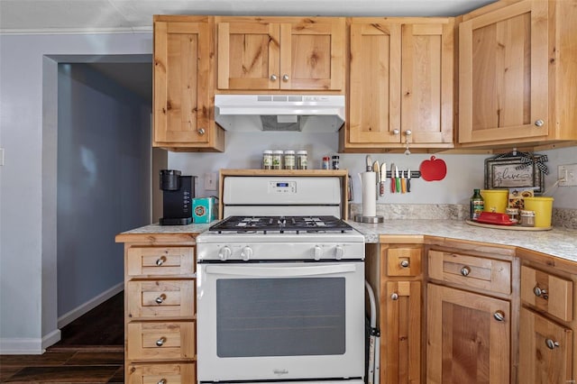 kitchen featuring white range with gas cooktop and dark hardwood / wood-style flooring