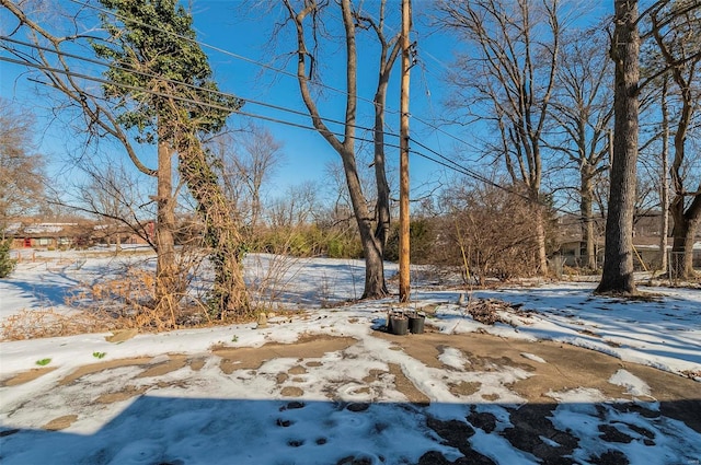 view of yard layered in snow