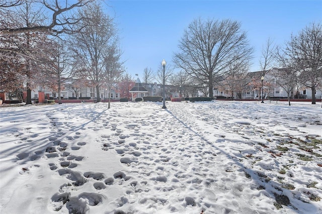 view of snowy yard