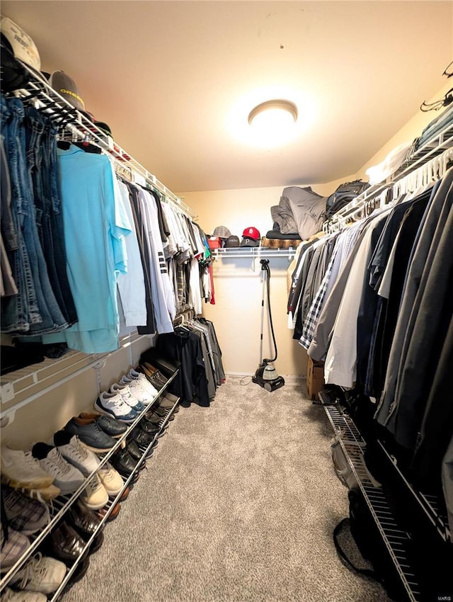 walk in closet featuring carpet floors