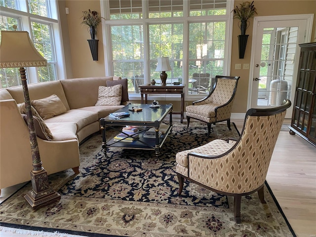 living room with light hardwood / wood-style flooring and a healthy amount of sunlight