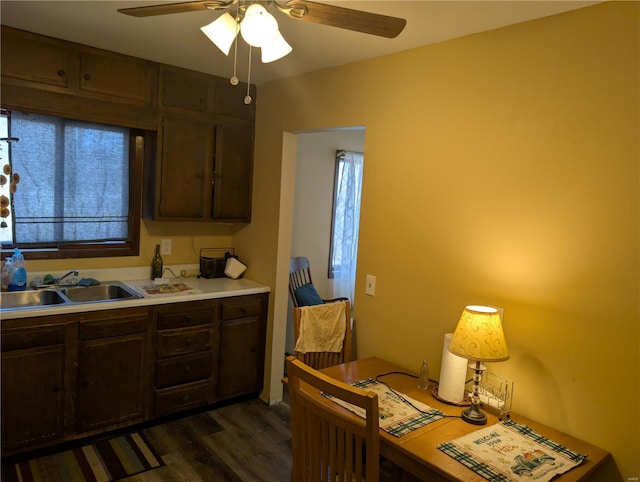 kitchen with dark brown cabinetry, sink, dark wood-type flooring, and ceiling fan