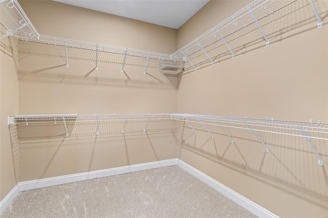 spacious closet featuring carpet flooring