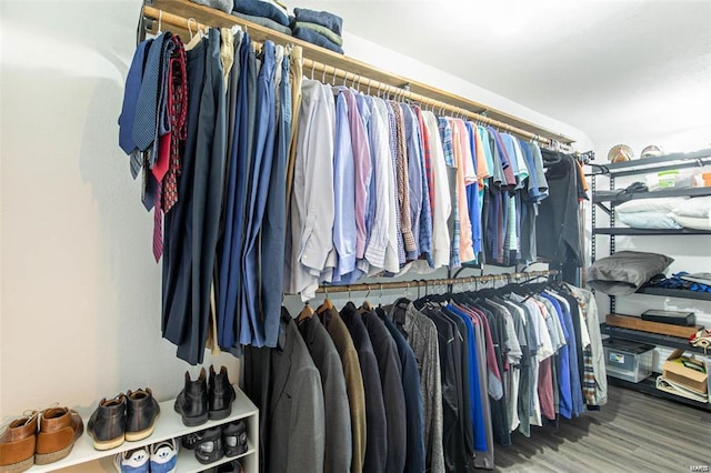 spacious closet featuring hardwood / wood-style flooring