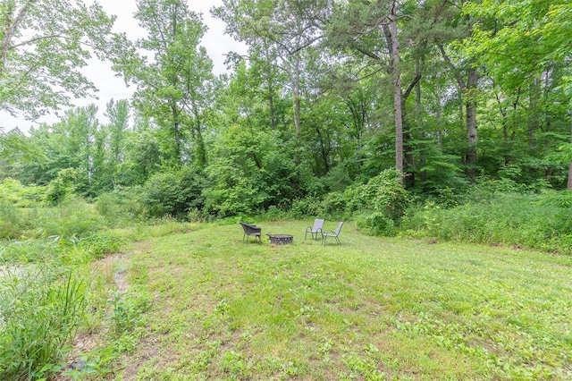 view of yard with an outdoor fire pit