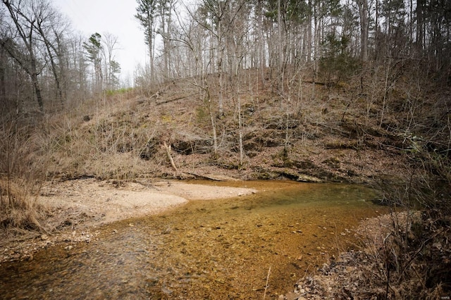 view of nature