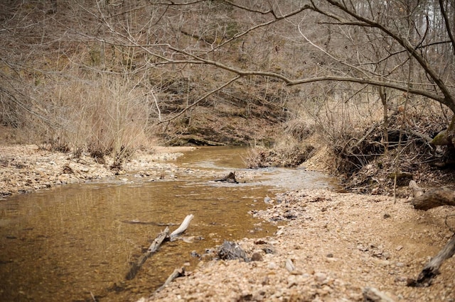 view of nature