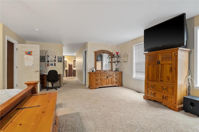 bedroom with light carpet