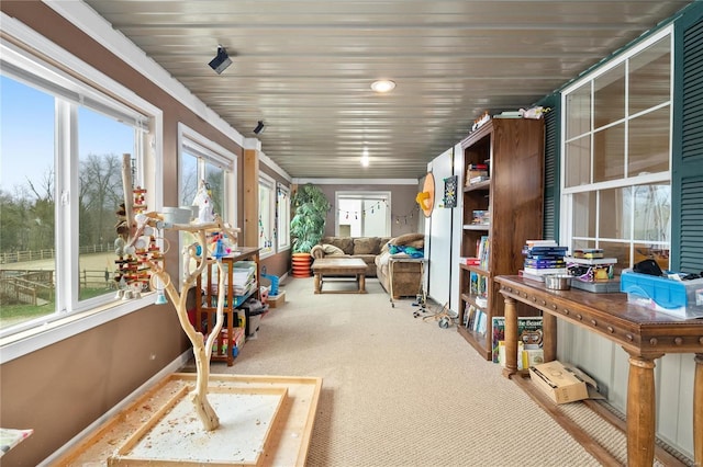 sunroom with a healthy amount of sunlight