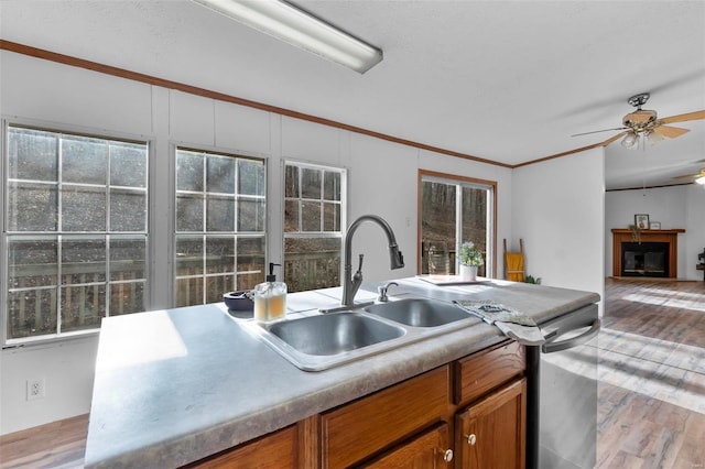 kitchen with sink, crown molding, light hardwood / wood-style flooring, stainless steel dishwasher, and a wealth of natural light