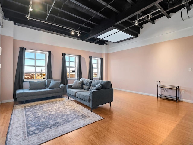 living room with rail lighting, hardwood / wood-style floors, and a wealth of natural light