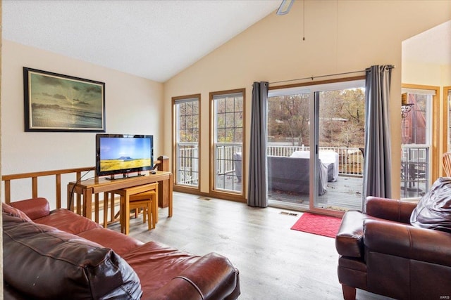 living room with lofted ceiling and light hardwood / wood-style flooring