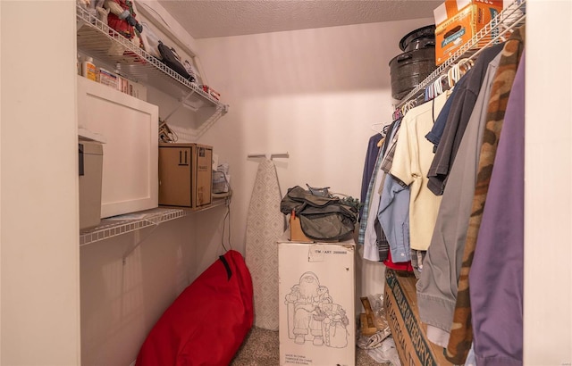 spacious closet with carpet flooring