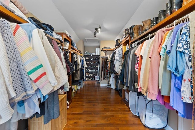 spacious closet featuring dark hardwood / wood-style floors