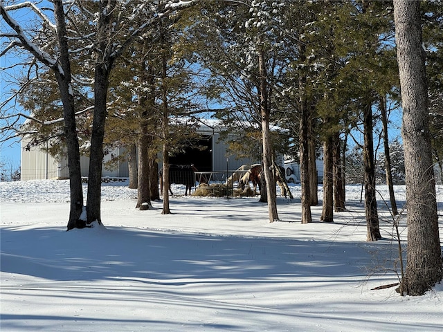 view of snowy yard