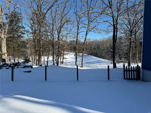 view of yard layered in snow