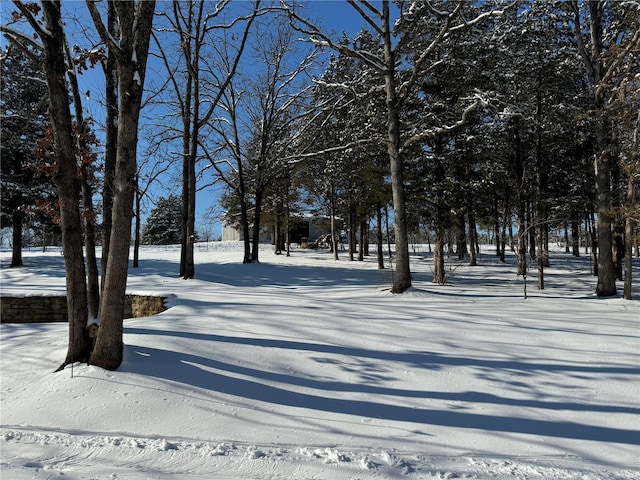 view of yard layered in snow