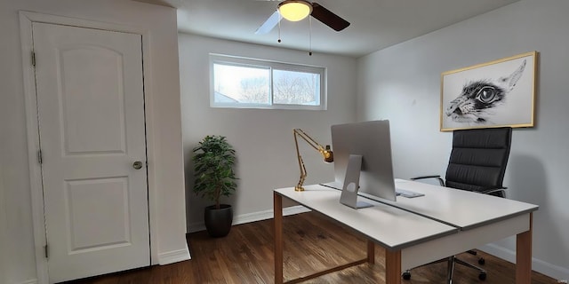 office with ceiling fan and dark hardwood / wood-style flooring