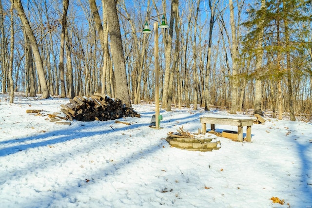 view of snowy yard