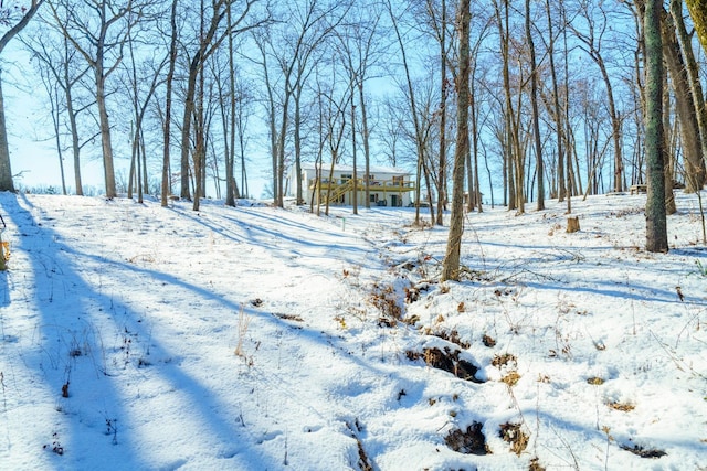 view of yard layered in snow