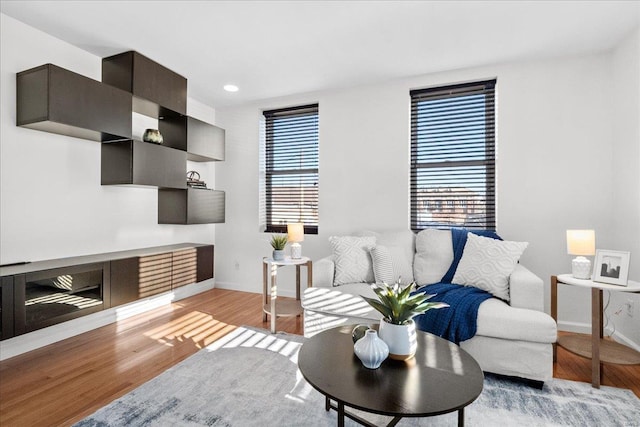 living room featuring light hardwood / wood-style flooring