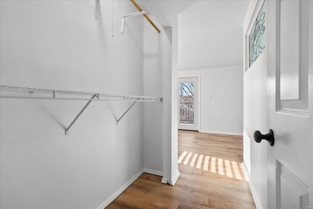 spacious closet with wood-type flooring